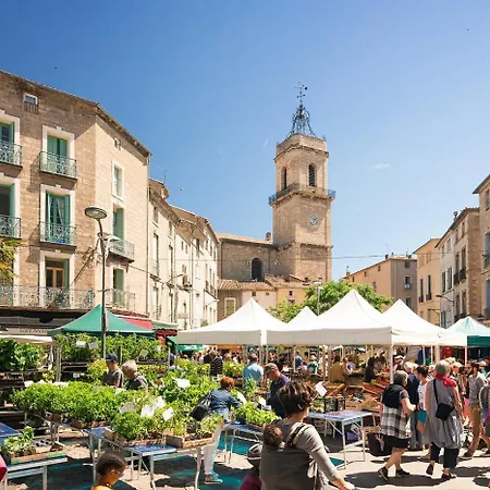 T2 Cosy Avec Terrasse Privative * Clermont-lʼHérault